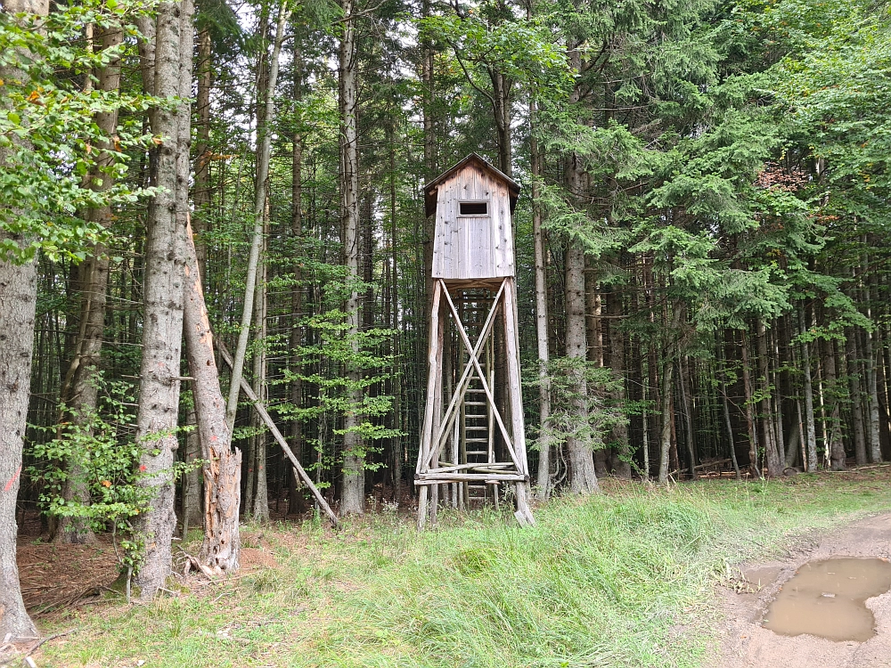 Slika je vidna v Google Chromu.
