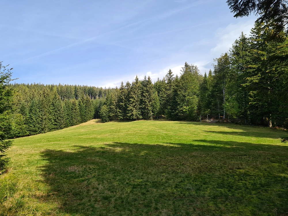 Slika je vidna v Google Chromu.