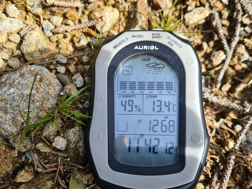 Slika je vidna v Google Chromu.