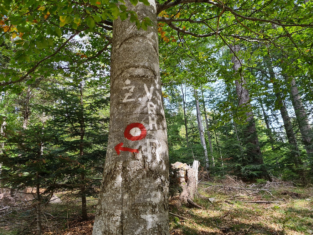 Slika je vidna v Google Chromu.