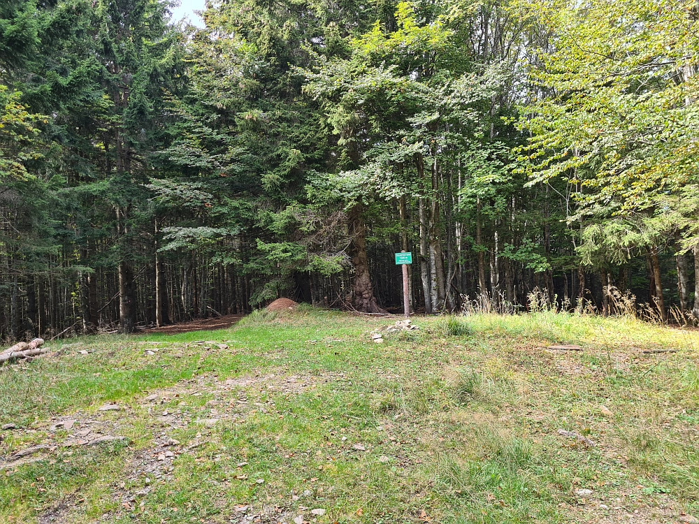 Slika je vidna v Google Chromu.