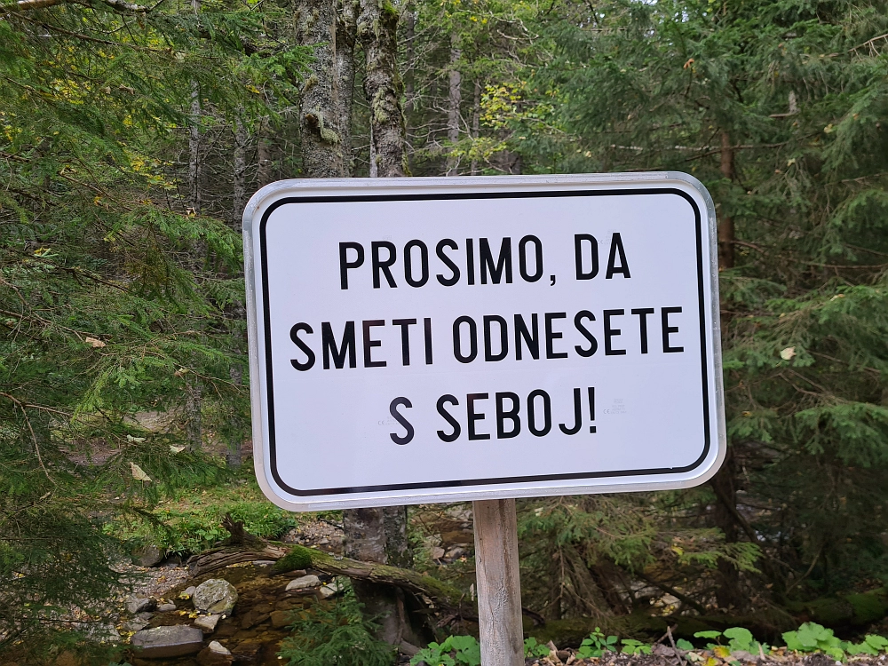 Slika je vidna v Google Chromu.