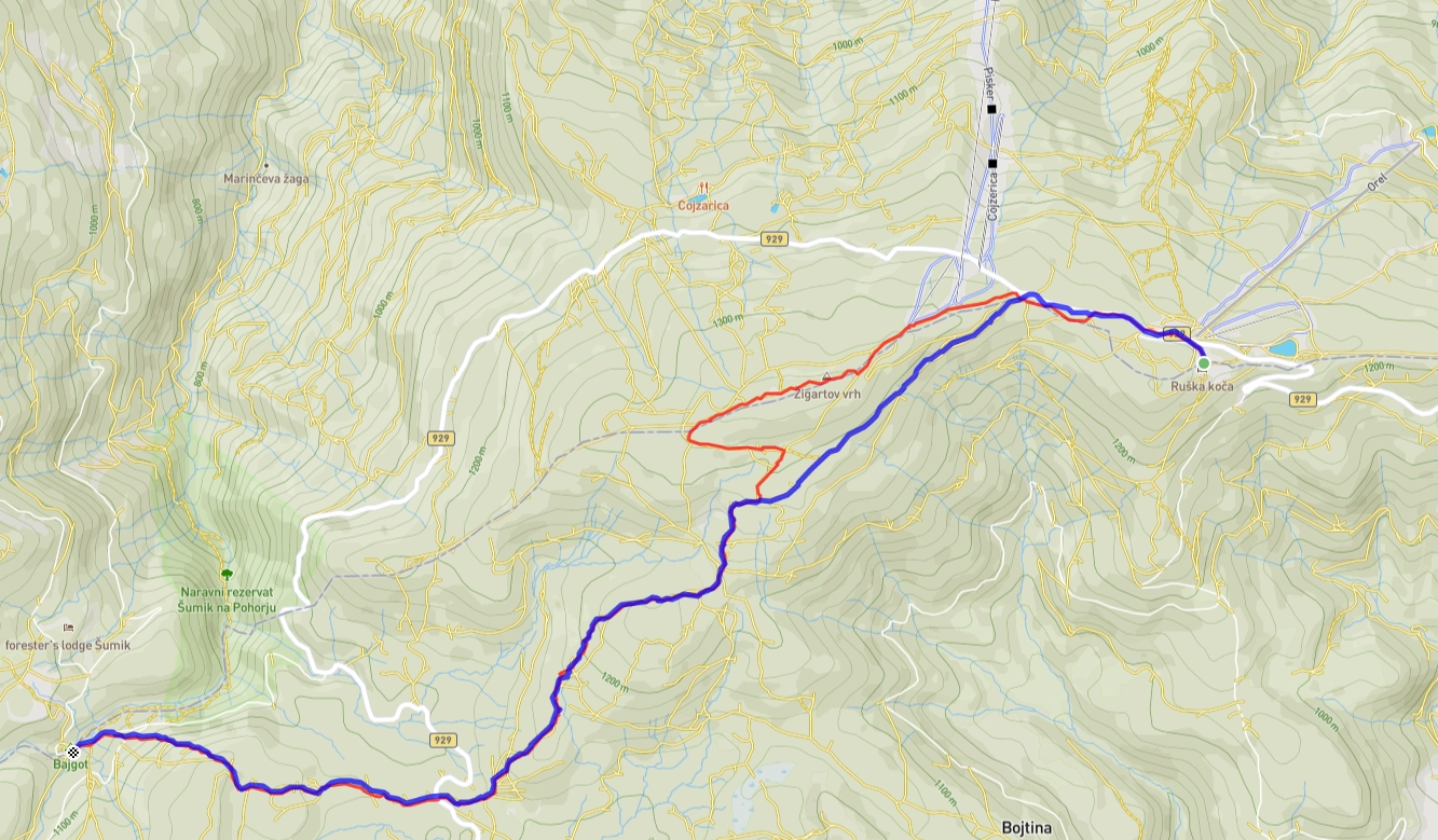 Slika je vidna v Google Chromu.