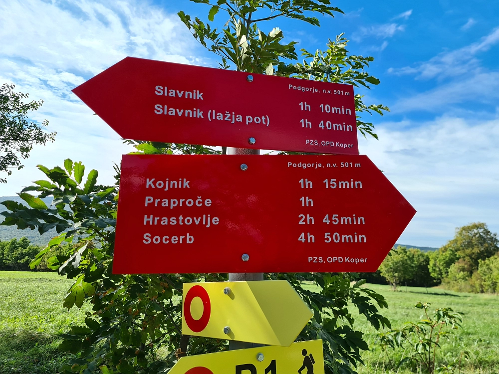 Slika je vidna v Google Chromu.