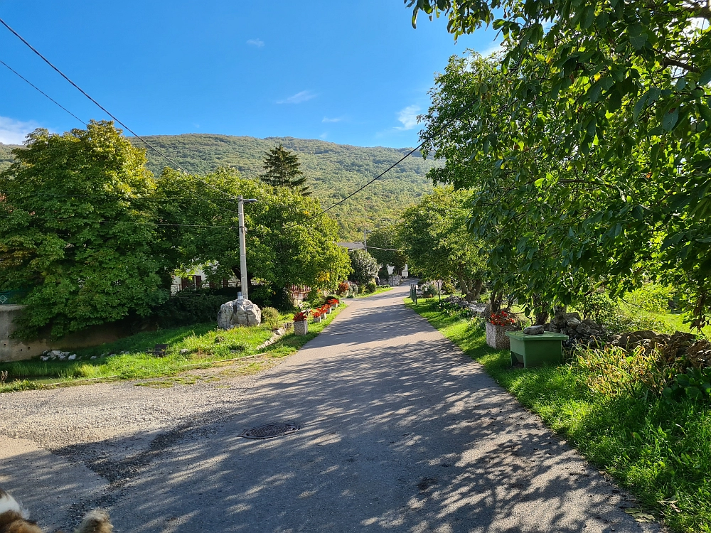 Slika je vidna v Google Chromu.