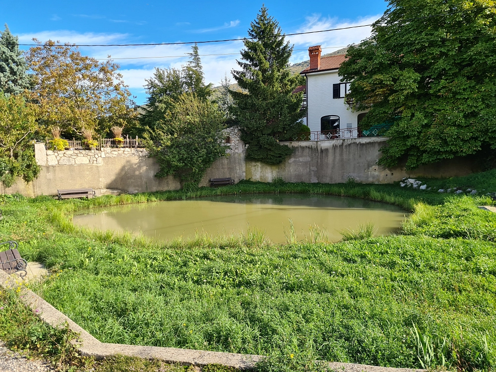 Slika je vidna v Google Chromu.