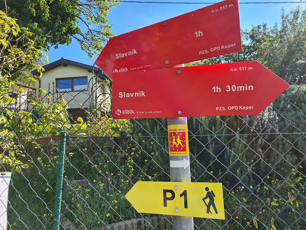 Slika je vidna v Google Chromu.