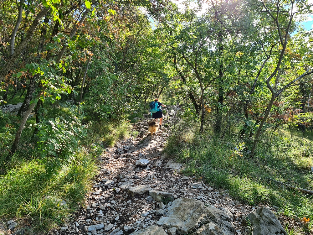 Slika je vidna v Google Chromu.