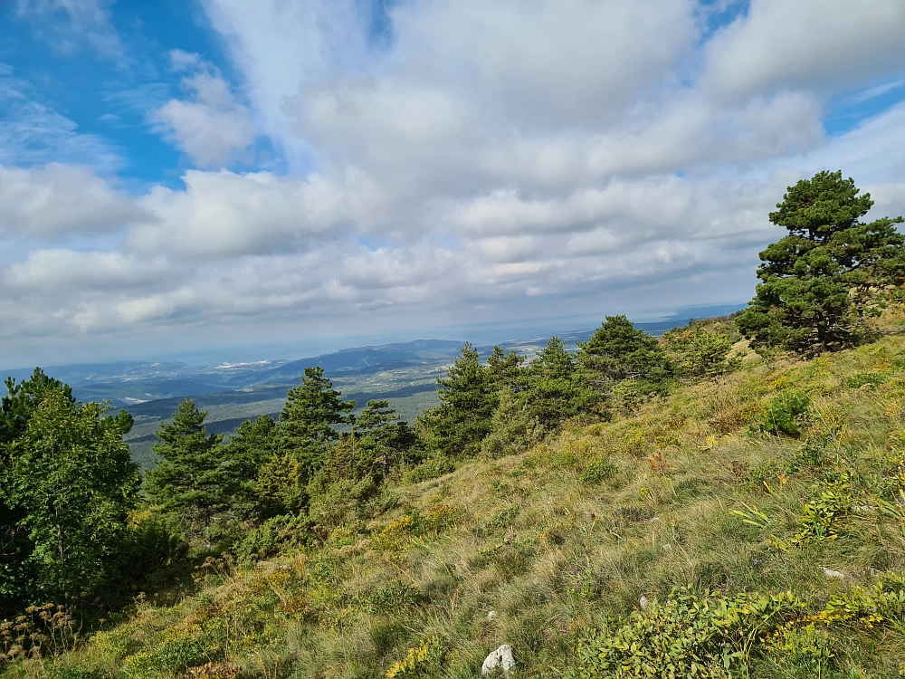 Slika je vidna v Google Chromu.