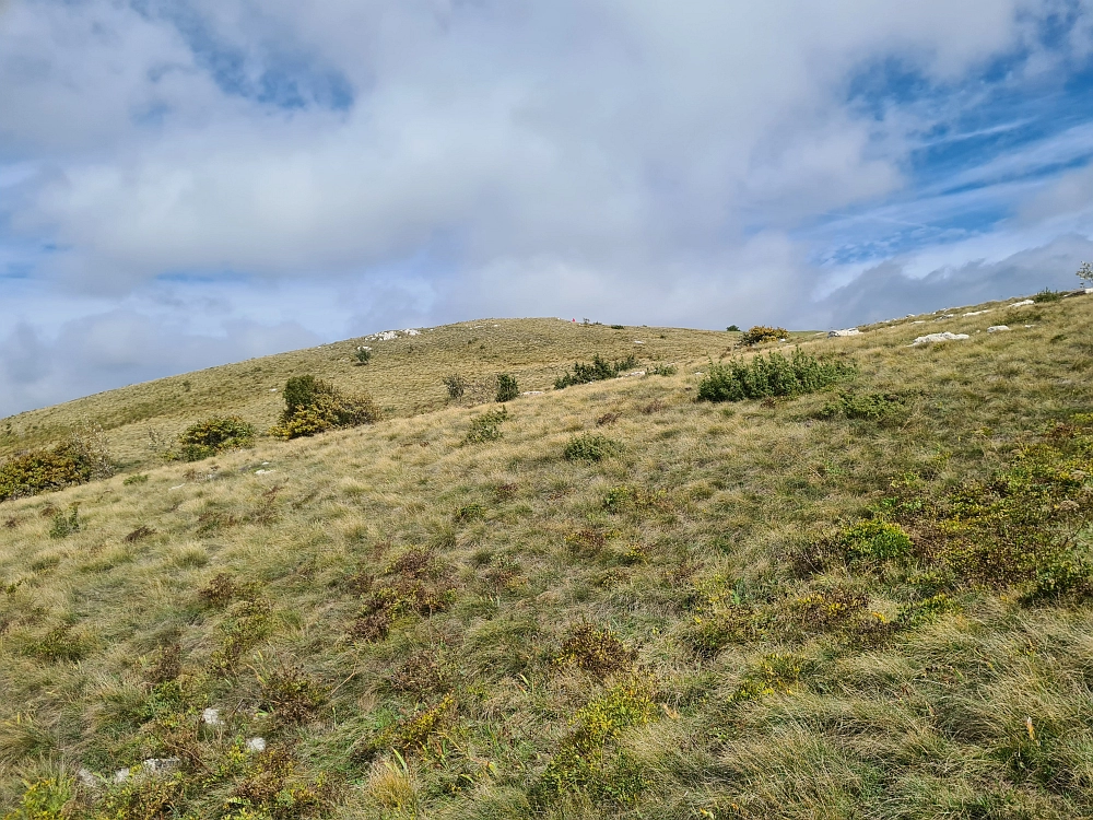 Slika je vidna v Google Chromu.