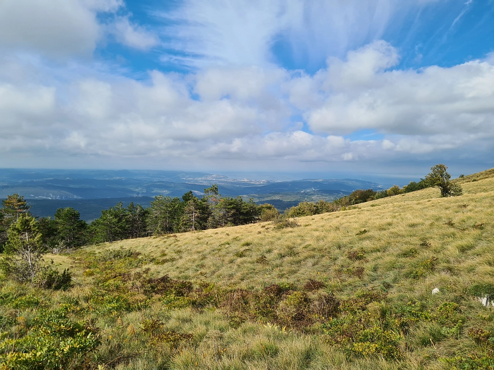 Slika je vidna v Google Chromu.