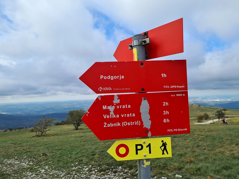 Slika je vidna v Google Chromu.