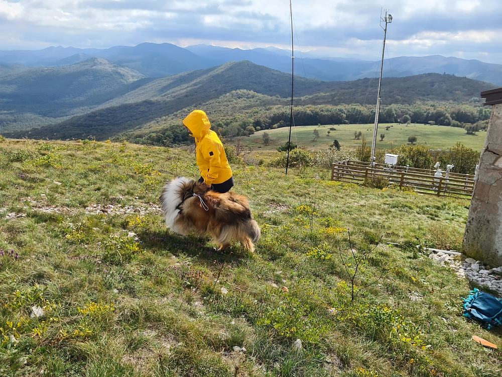 Slika je vidna v Google Chromu.