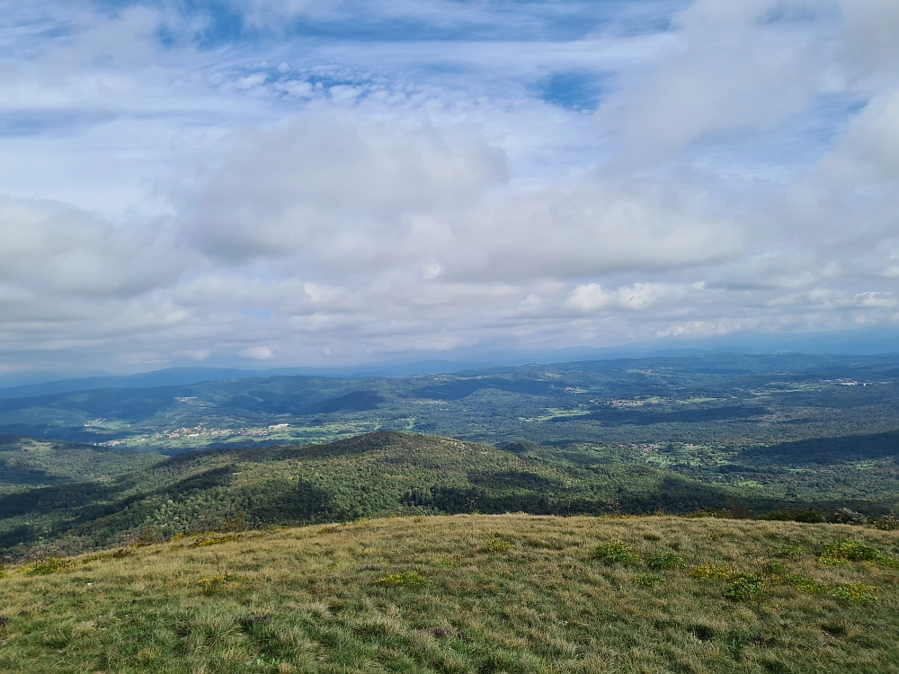 Slika je vidna v Google Chromu.