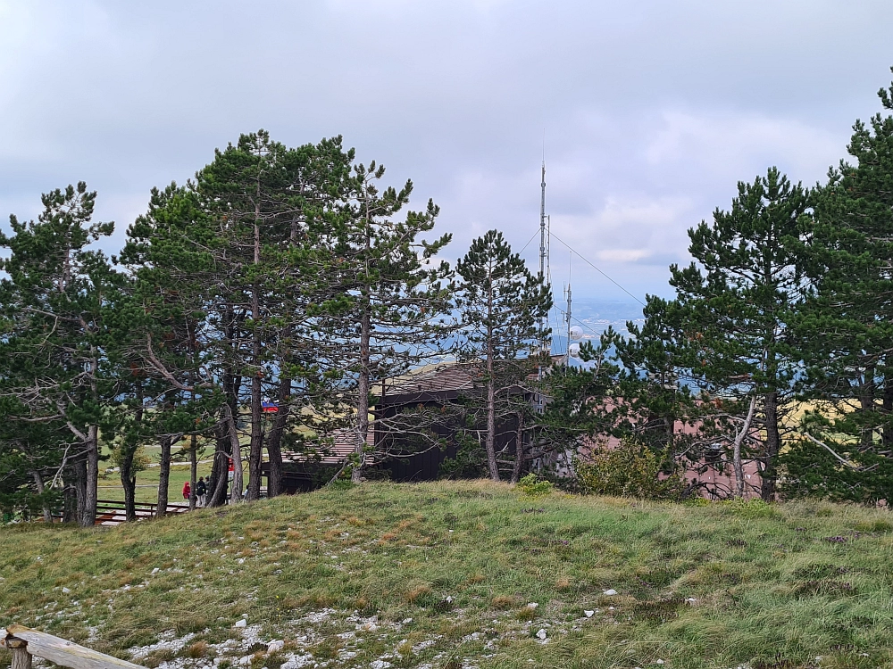 Slika je vidna v Google Chromu.