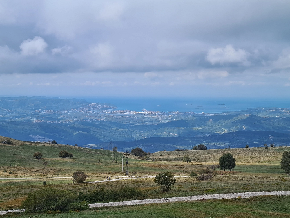 Slika je vidna v Google Chromu.