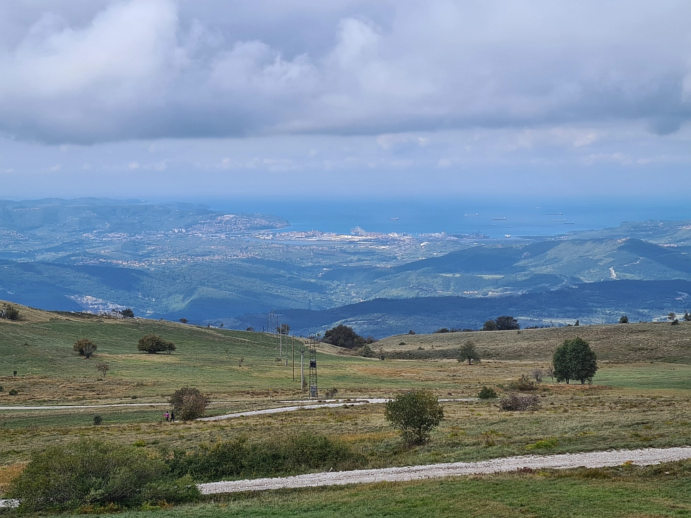 Slika je vidna v Google Chromu.