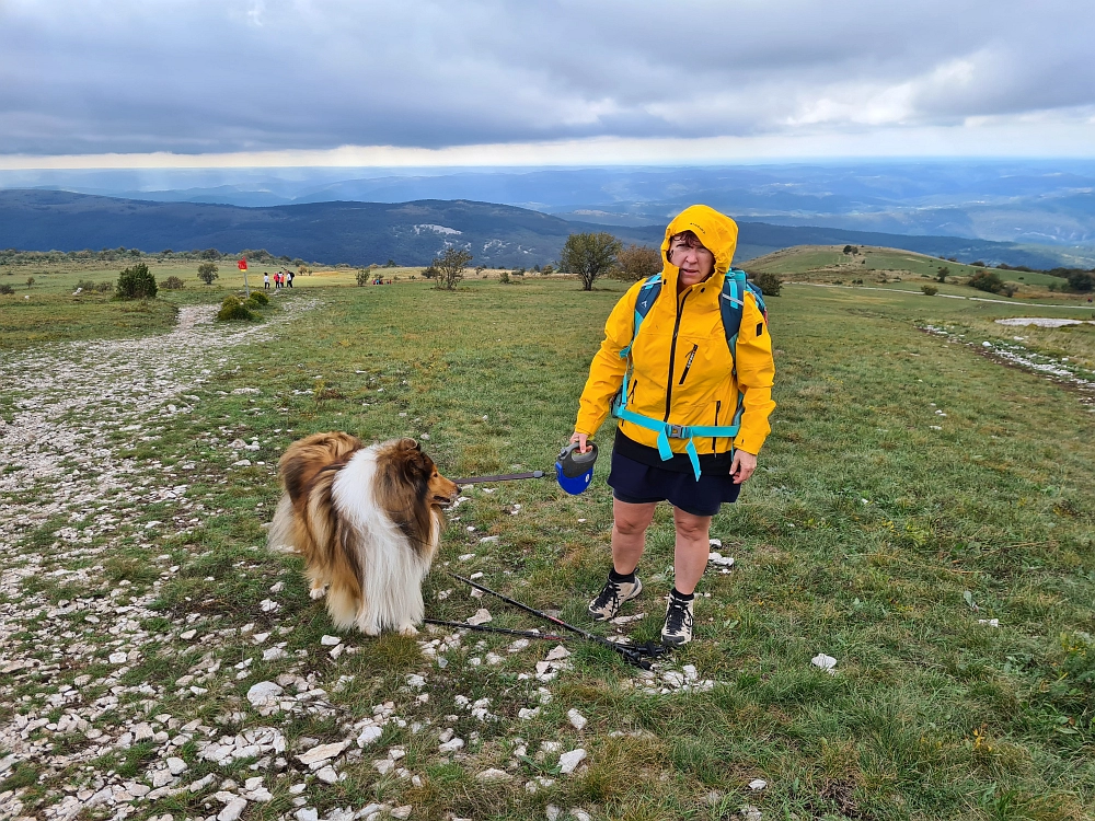 Slika je vidna v Google Chromu.