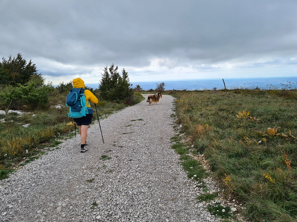 Slika je vidna v Google Chromu.