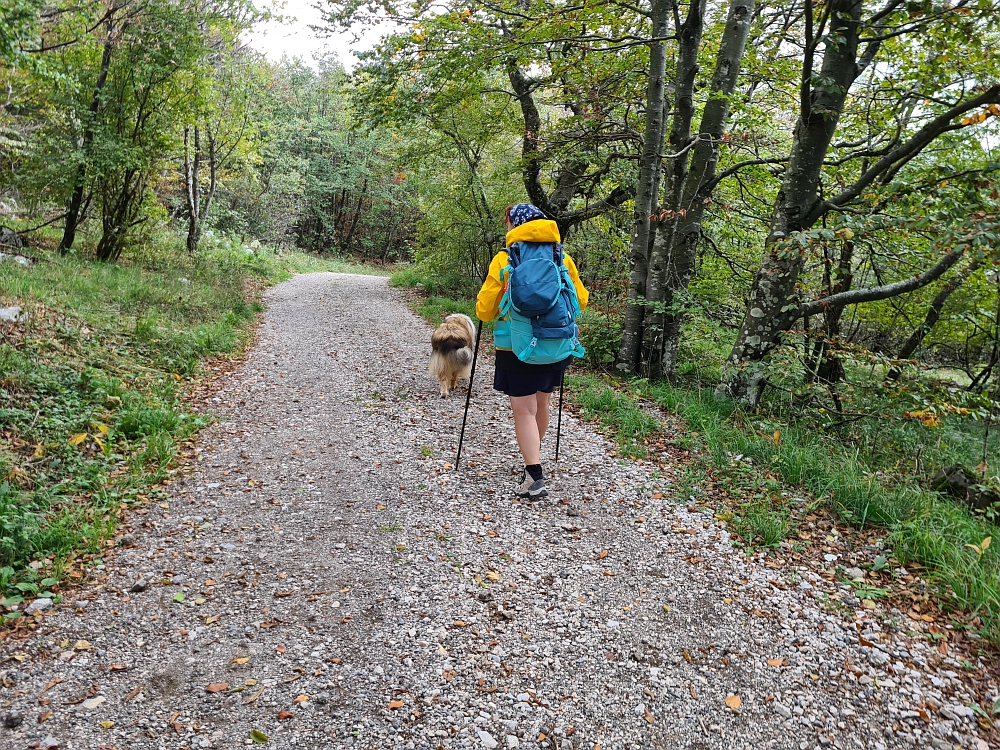 Slika je vidna v Google Chromu.
