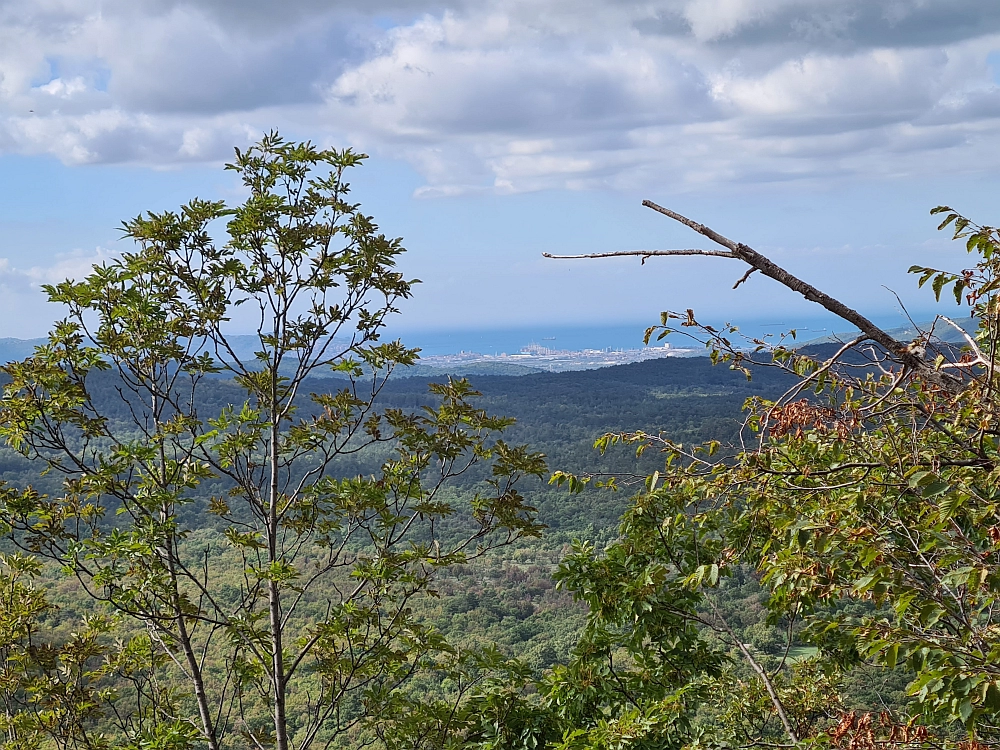 Slika je vidna v Google Chromu.