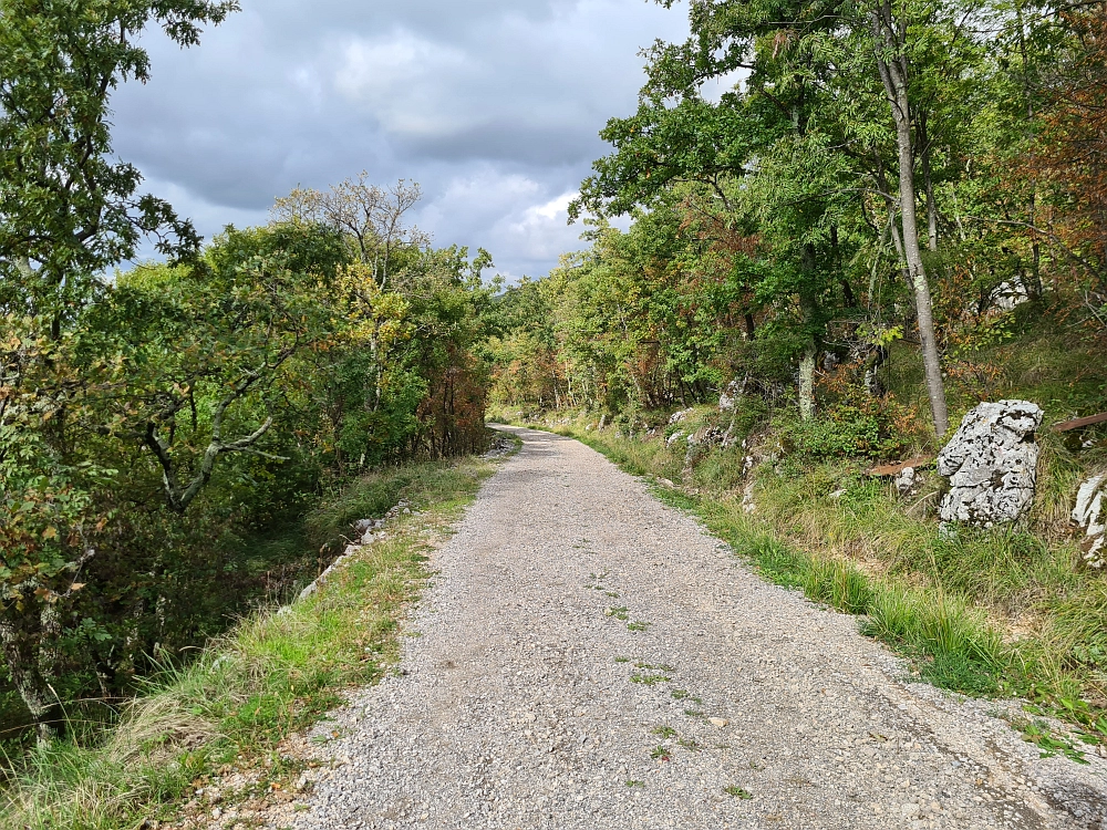 Slika je vidna v Google Chromu.