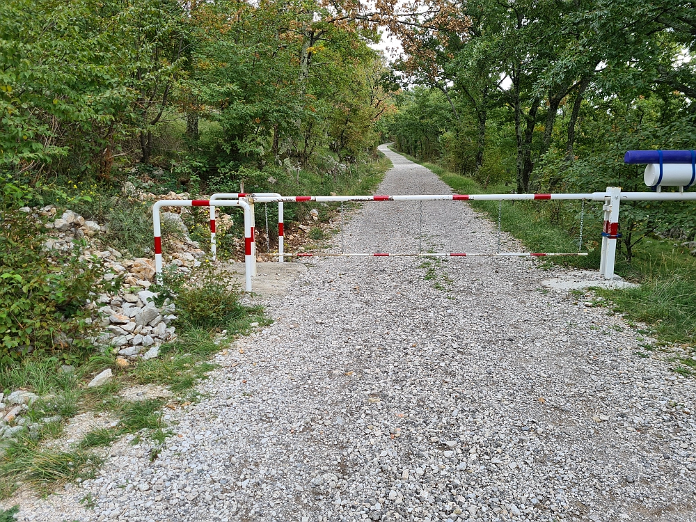 Slika je vidna v Google Chromu.