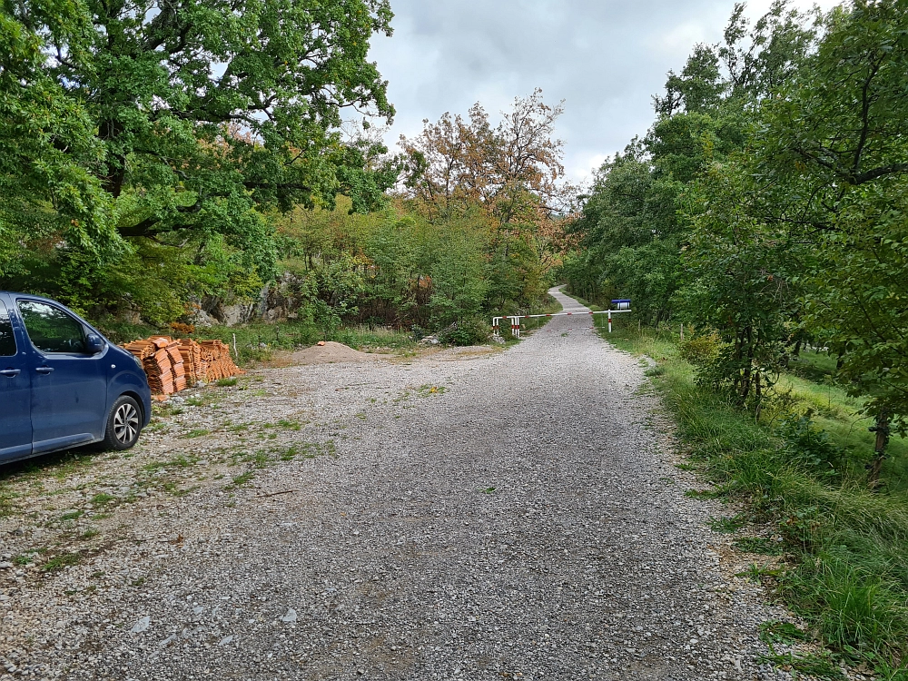 Slika je vidna v Google Chromu.