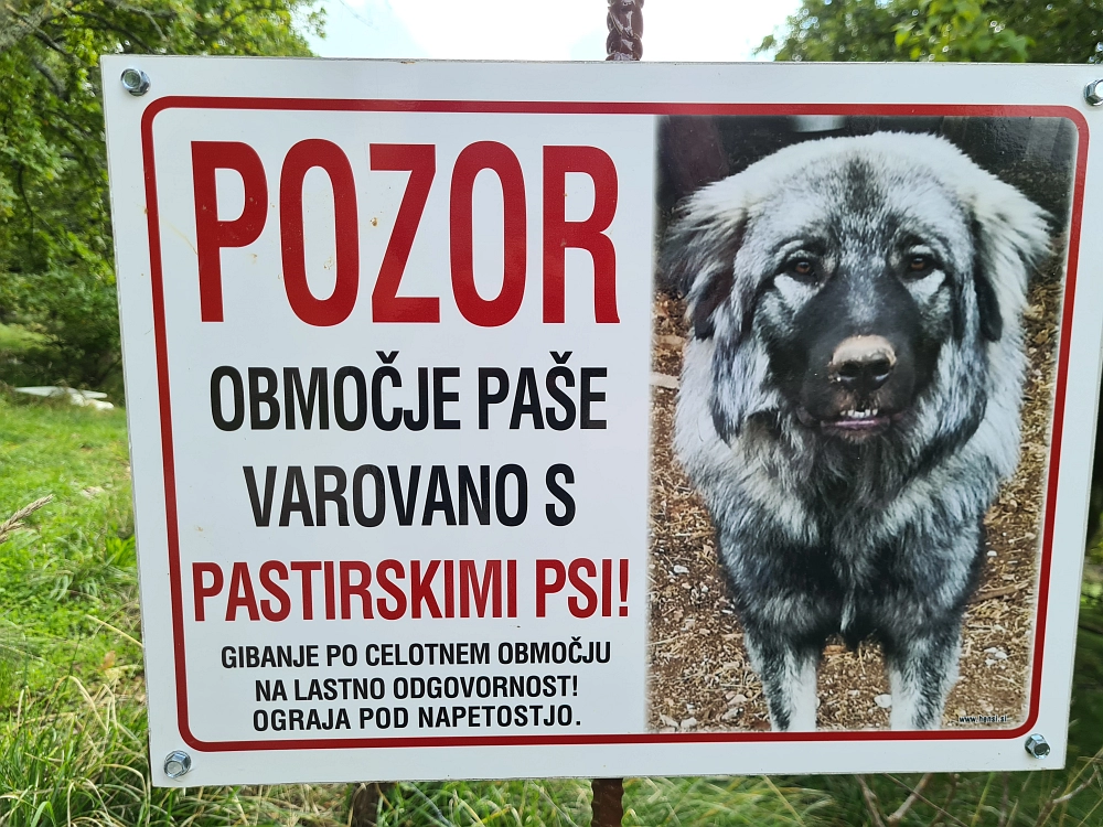 Slika je vidna v Google Chromu.