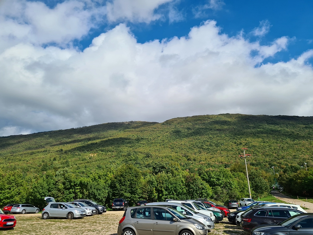 Slika je vidna v Google Chromu.