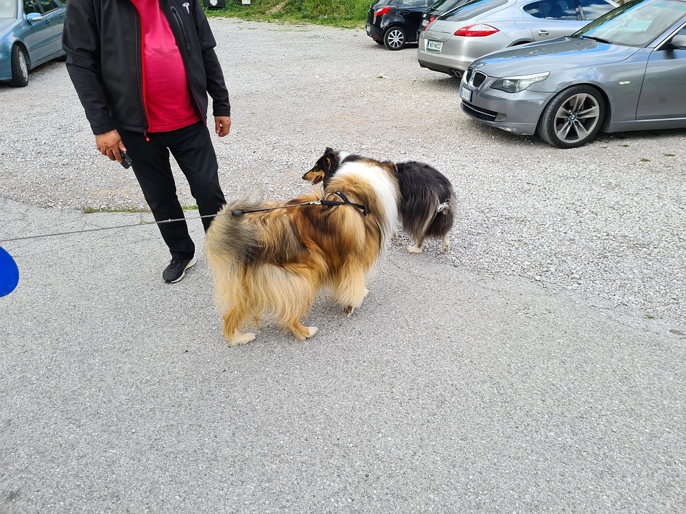 Slika je vidna v Google Chromu.