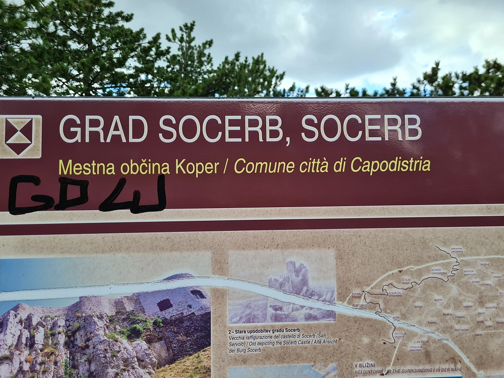 Slika je vidna v Google Chromu.