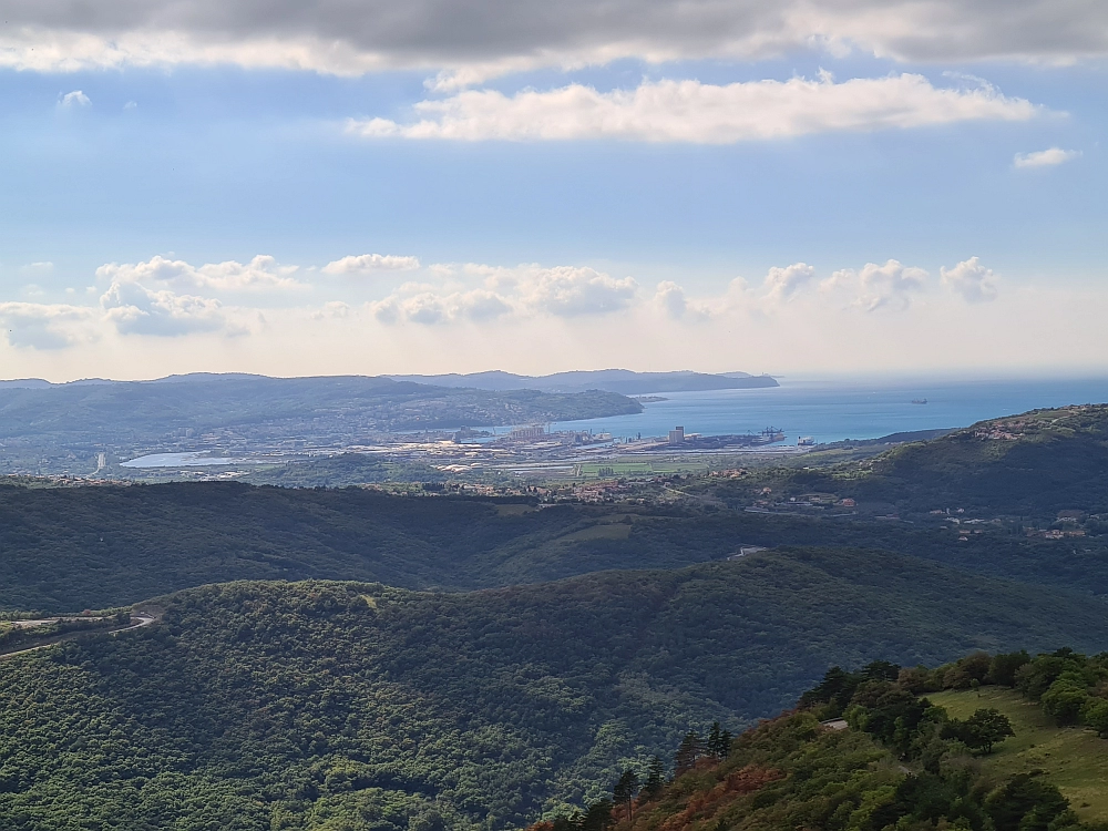 Slika je vidna v Google Chromu.