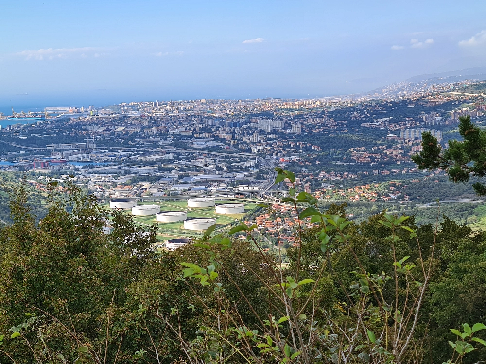 Slika je vidna v Google Chromu.