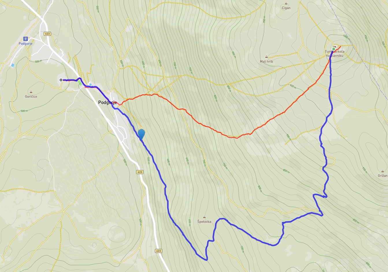 Slika je vidna v Google Chromu.