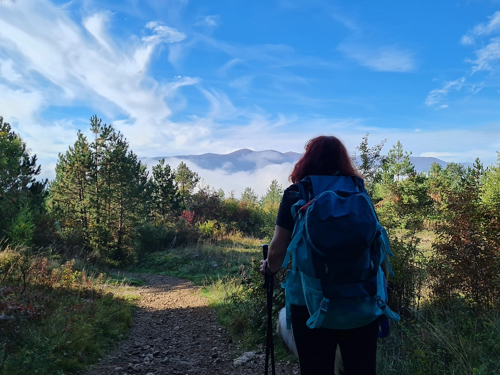 Slika je vidna v Google Chromu.