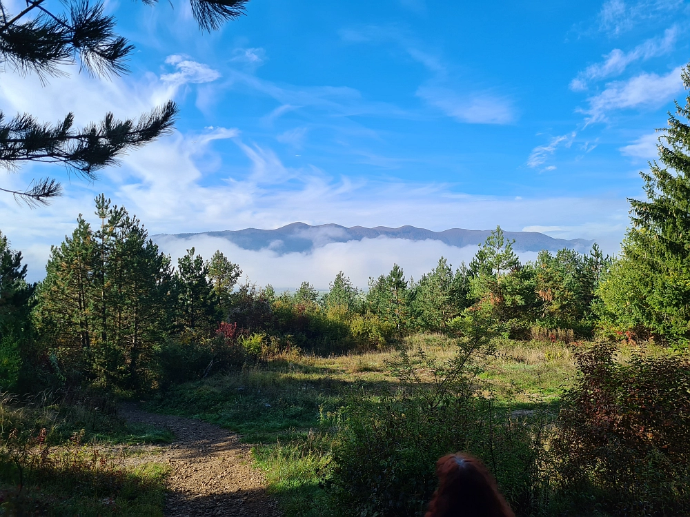 Slika je vidna v Google Chromu.