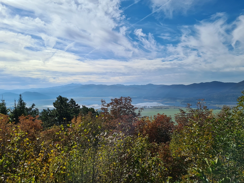 Slika je vidna v Google Chromu.
