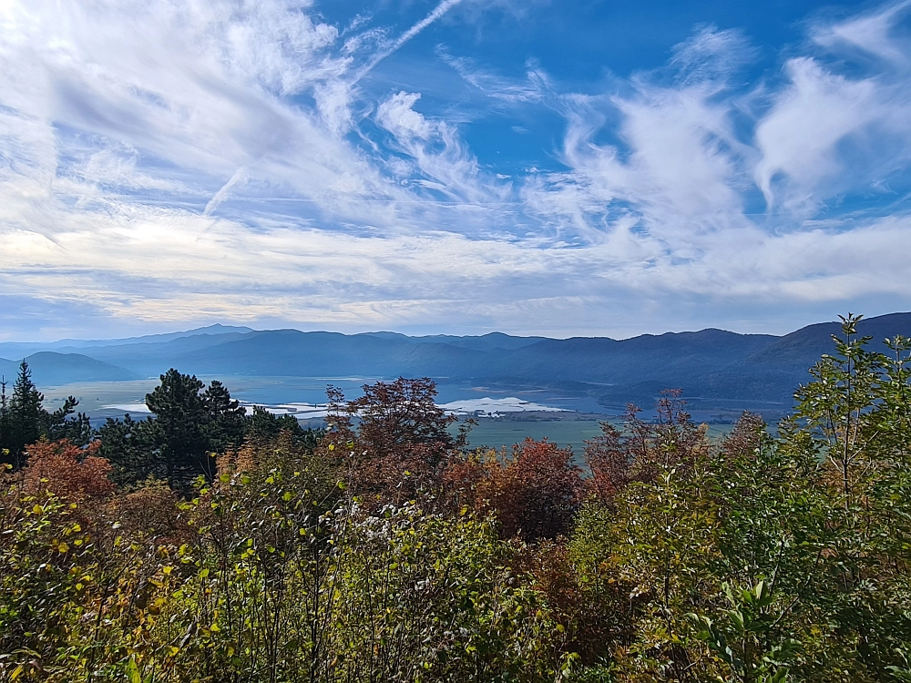 Slika je vidna v Google Chromu.