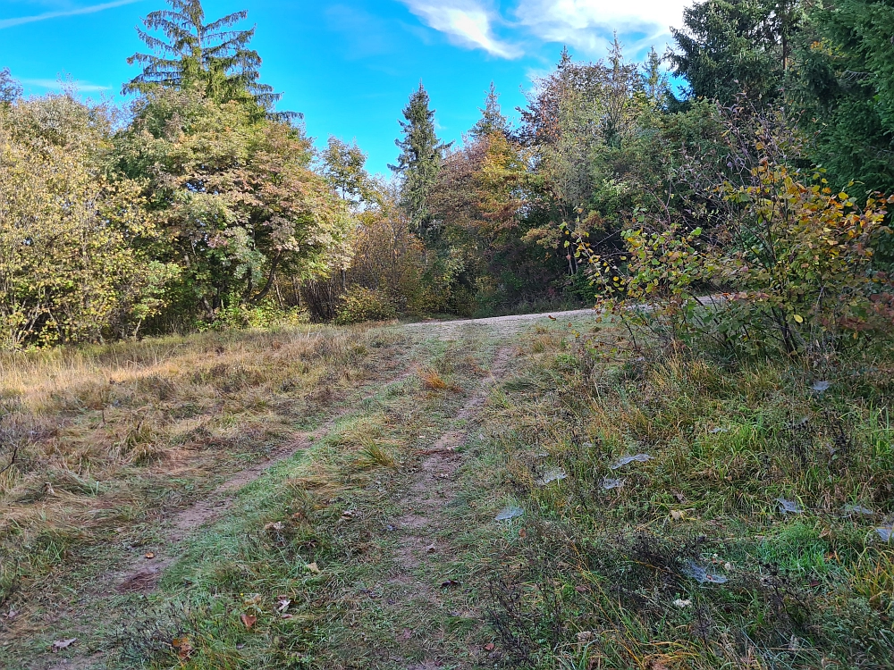 Slika je vidna v Google Chromu.