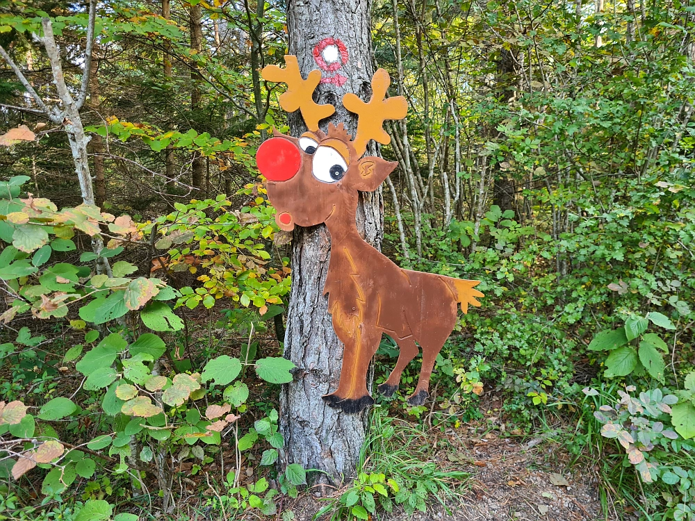 Slika je vidna v Google Chromu.