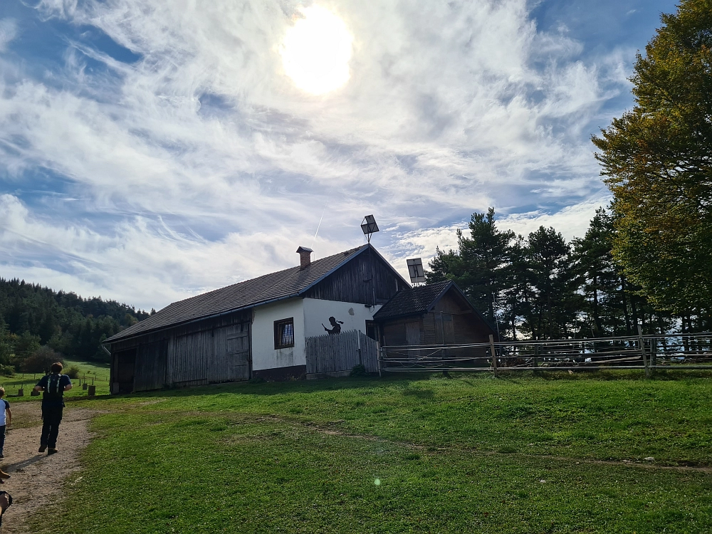 Slika je vidna v Google Chromu.