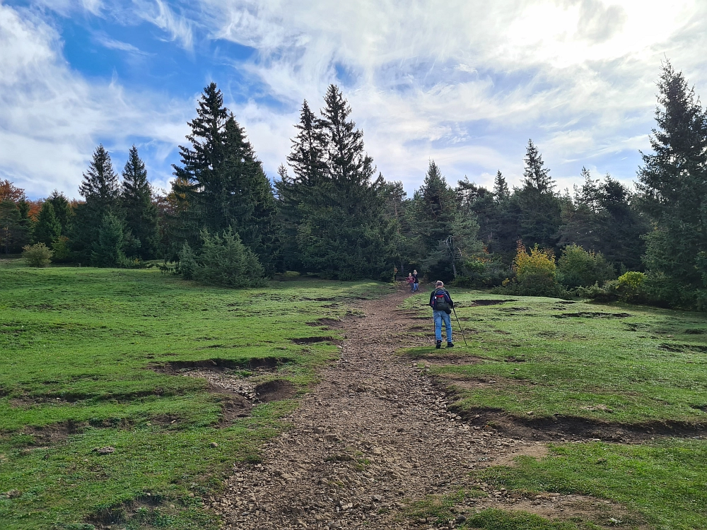 Slika je vidna v Google Chromu.