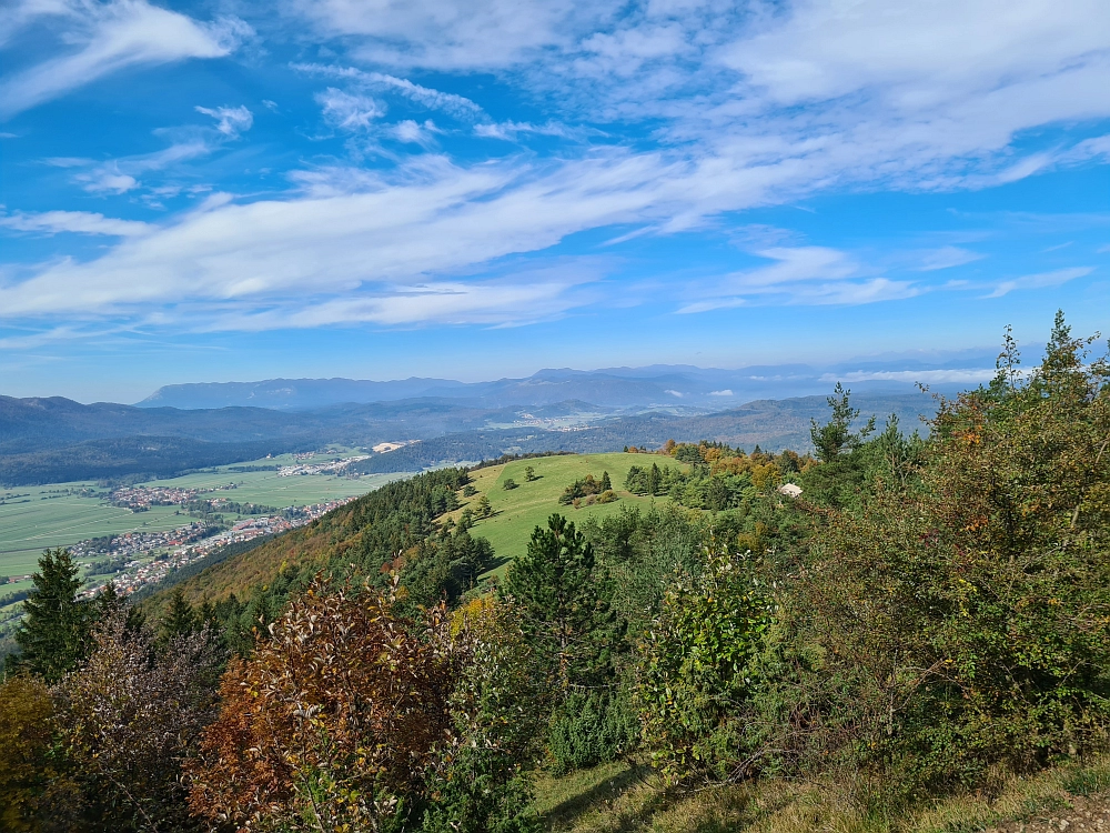 Slika je vidna v Google Chromu.