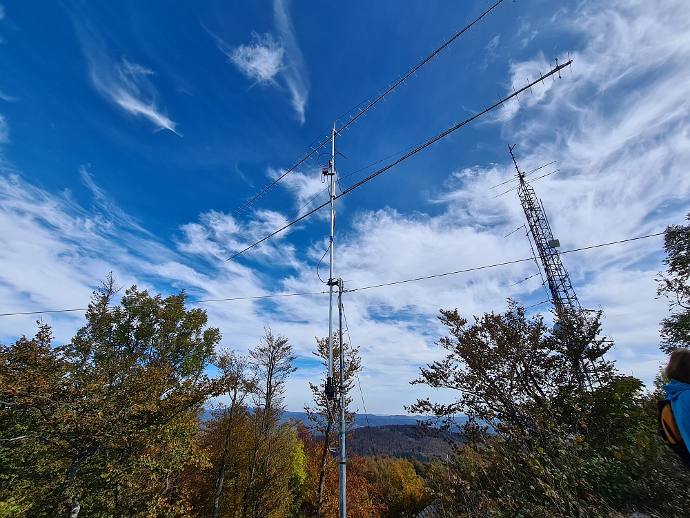 Slika je vidna v Google Chromu.