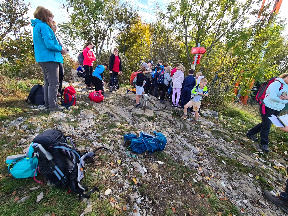 Slika je vidna v Google Chromu.