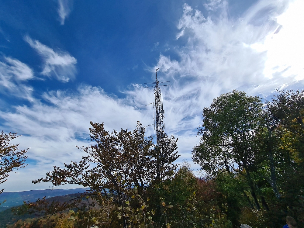 Slika je vidna v Google Chromu.