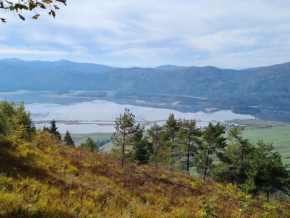 Slika je vidna v Google Chromu.