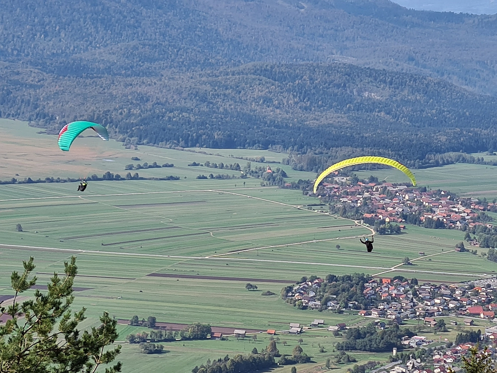 Slika je vidna v Google Chromu.