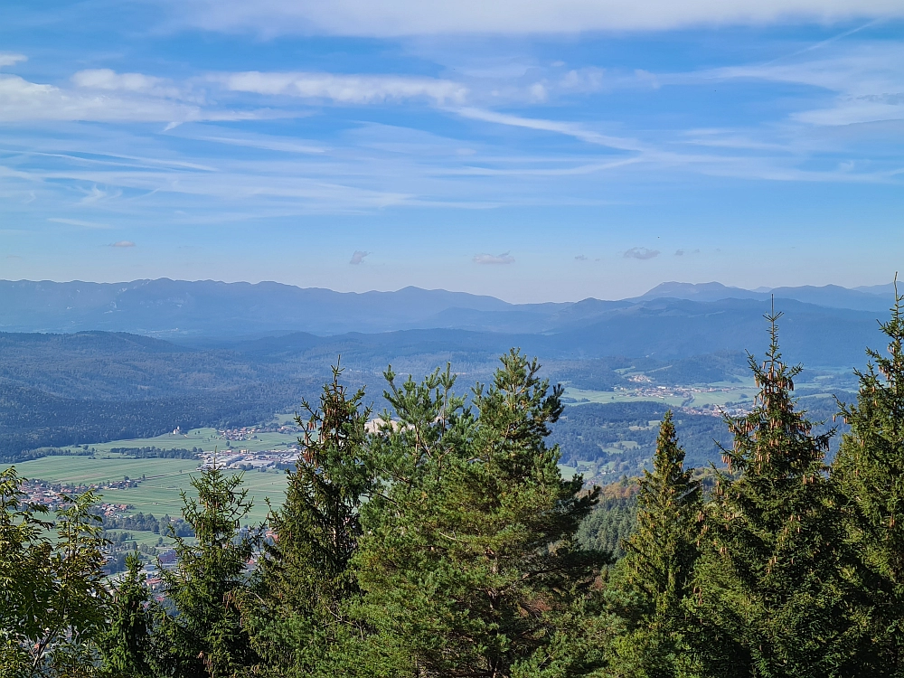 Slika je vidna v Google Chromu.